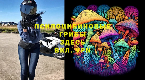 ГАЛЛЮЦИНОГЕННЫЕ ГРИБЫ Михайловск