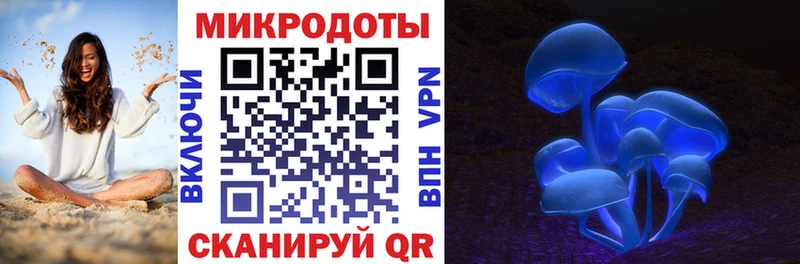Галлюциногенные грибы мухоморы  Кадников 